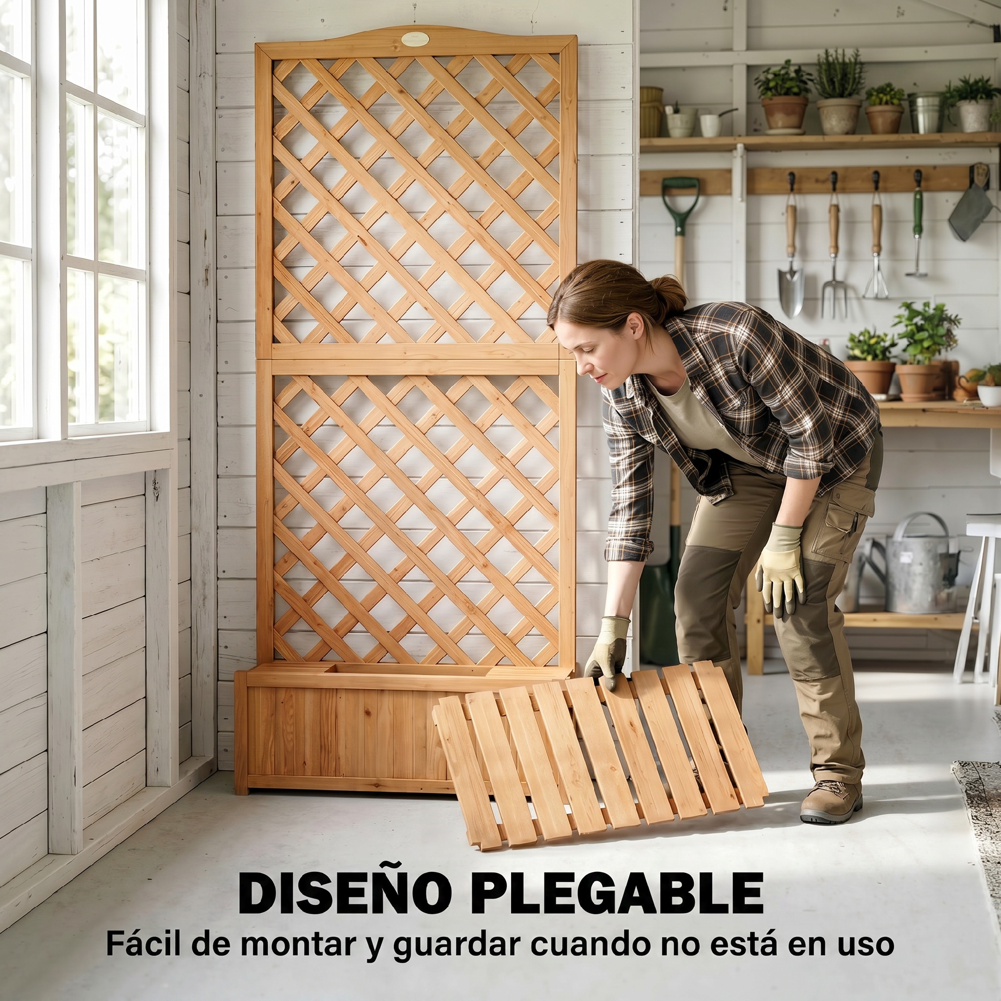 T1008-01-10774 image 2