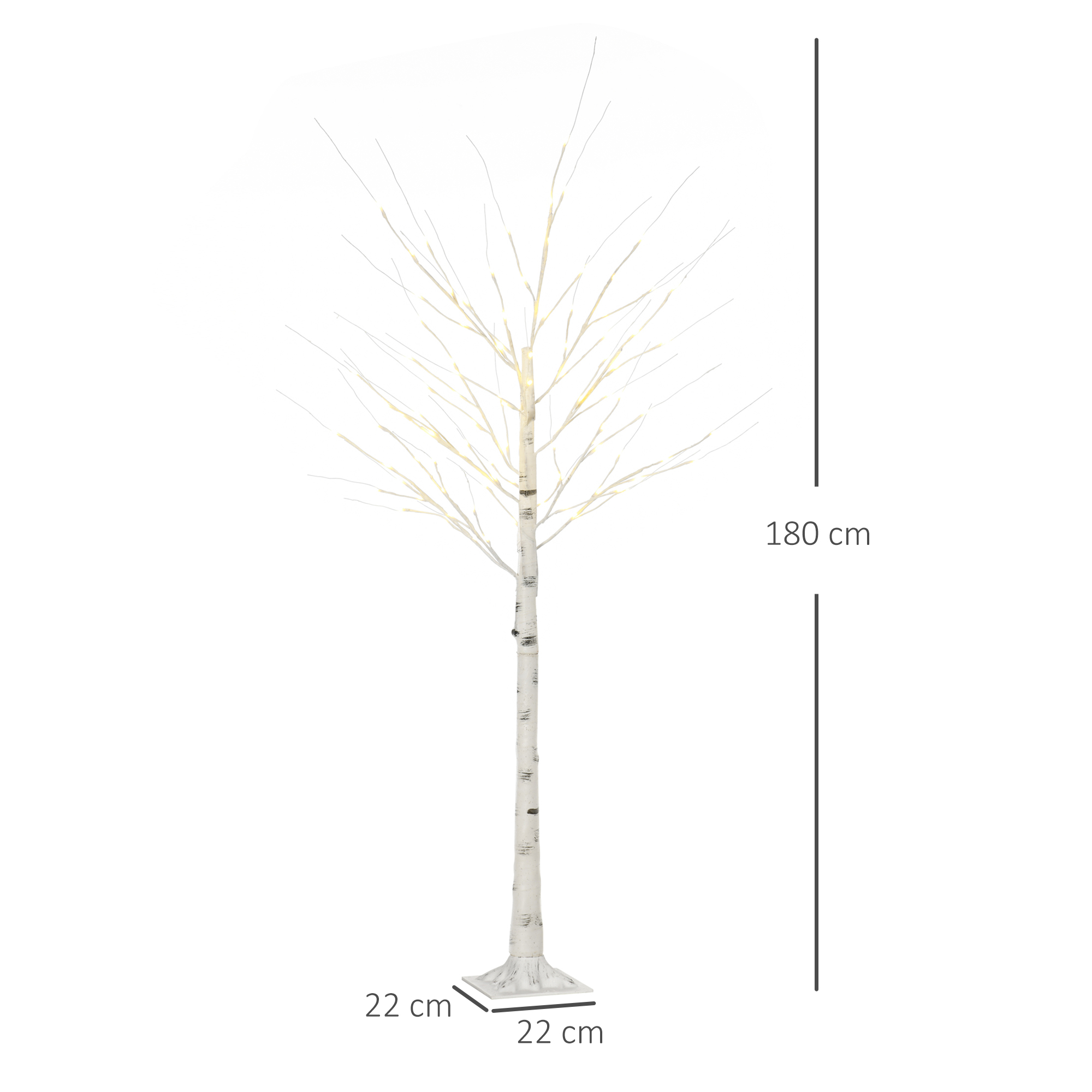 Bouleau lumineux blanc