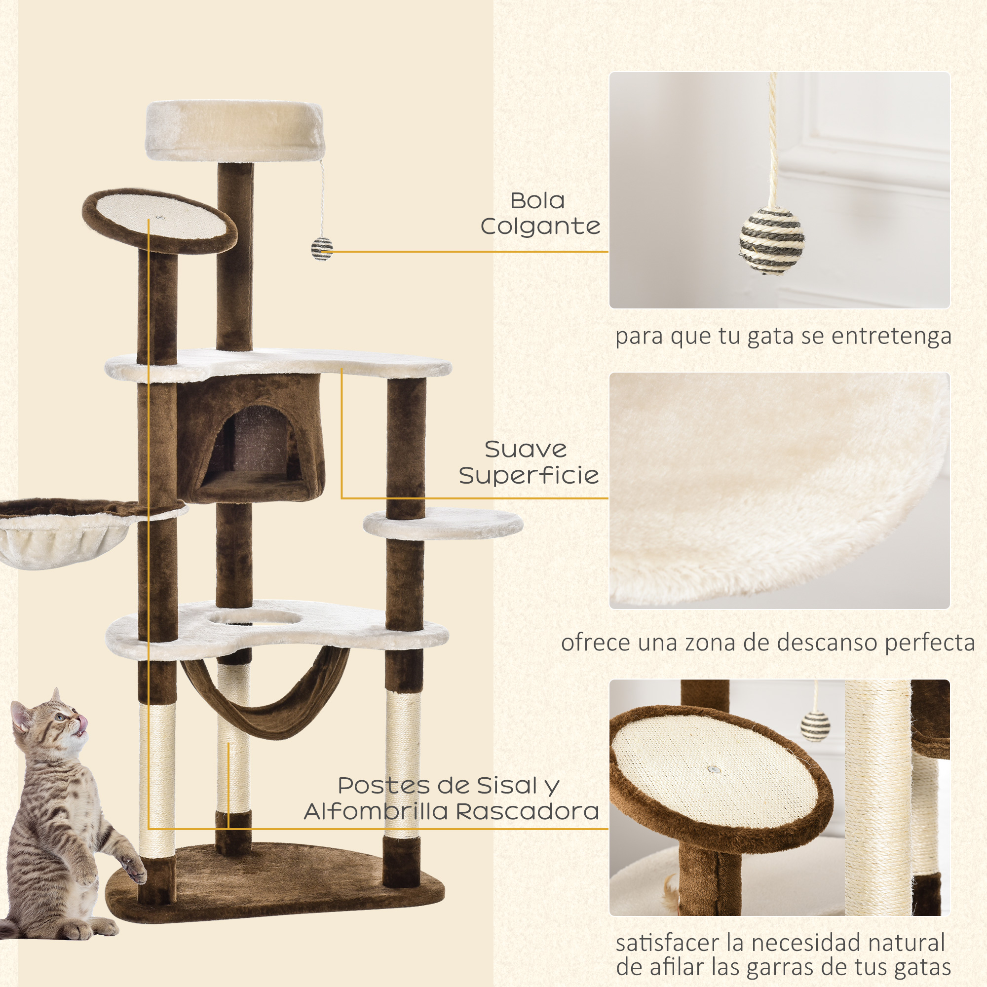 Vue du produit