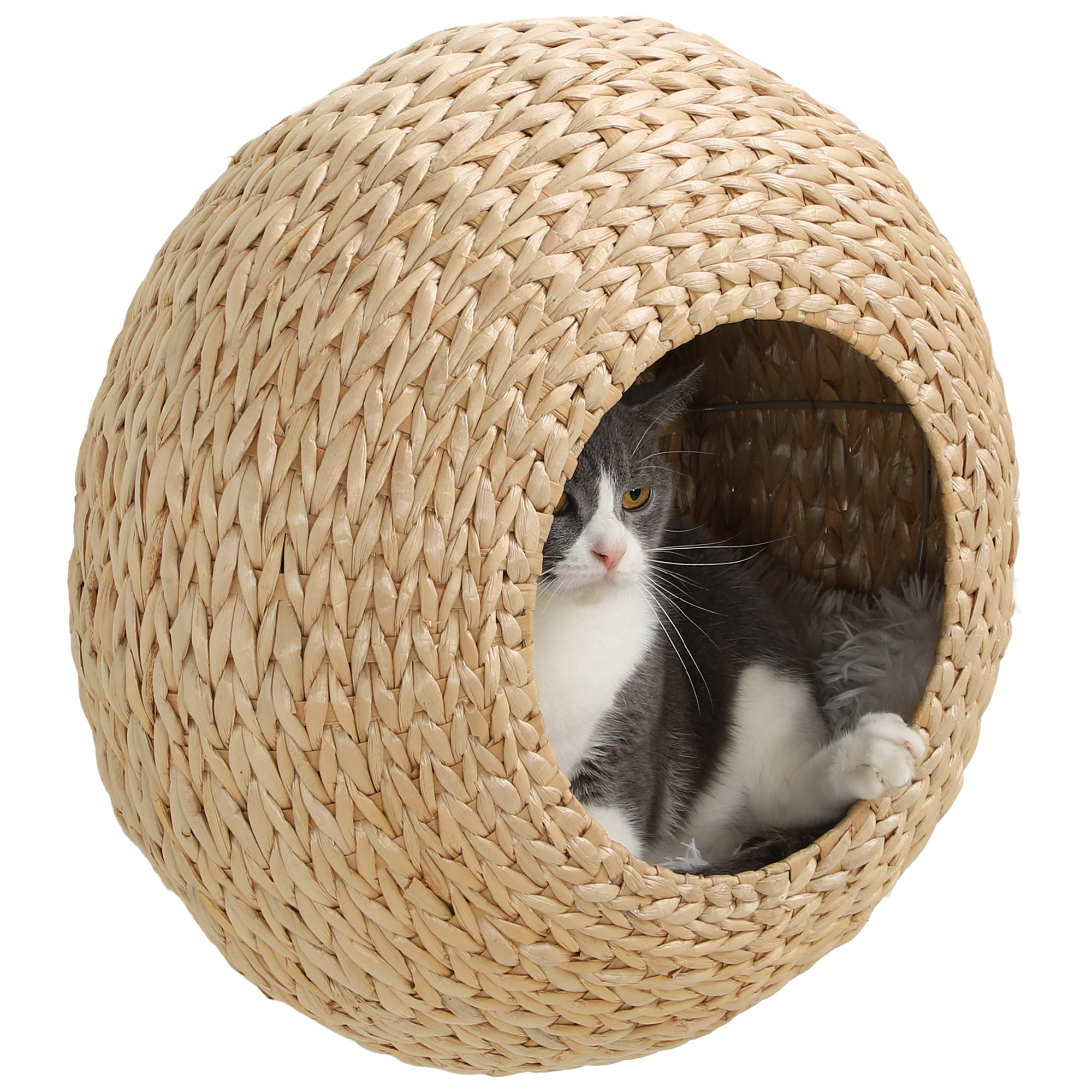 Wall Mounted Cat Condo with Washable Cushion, Natural Wood