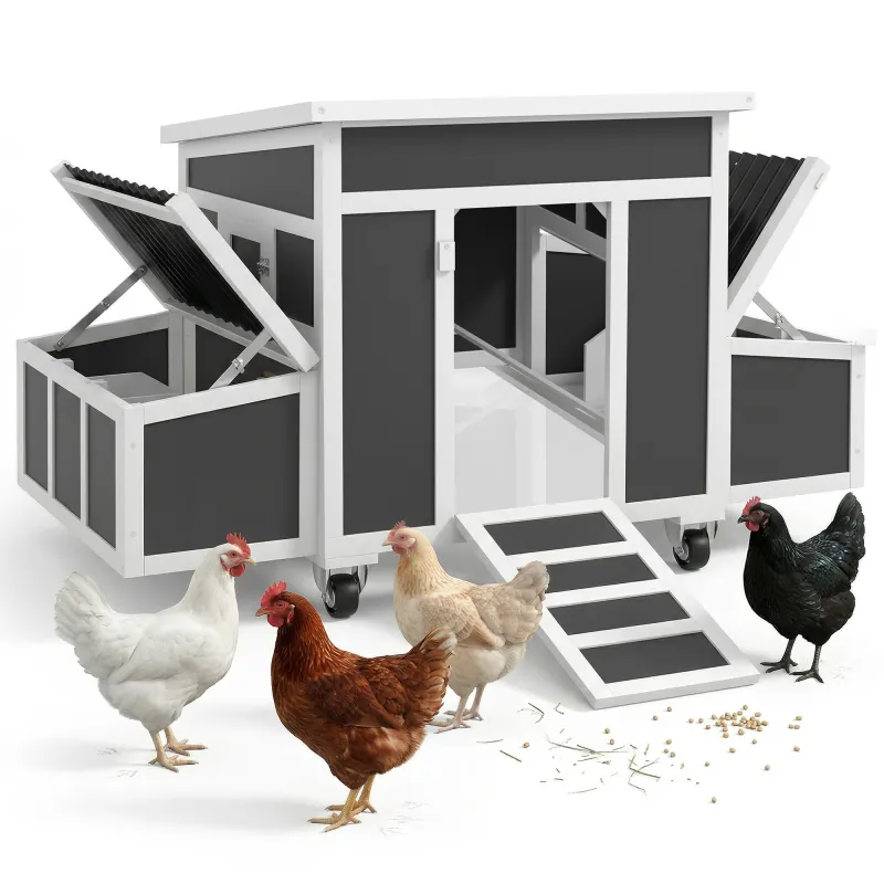 Wooden Chicken Coop with Nesting Box for 2-4 Chickens, Dark Gray