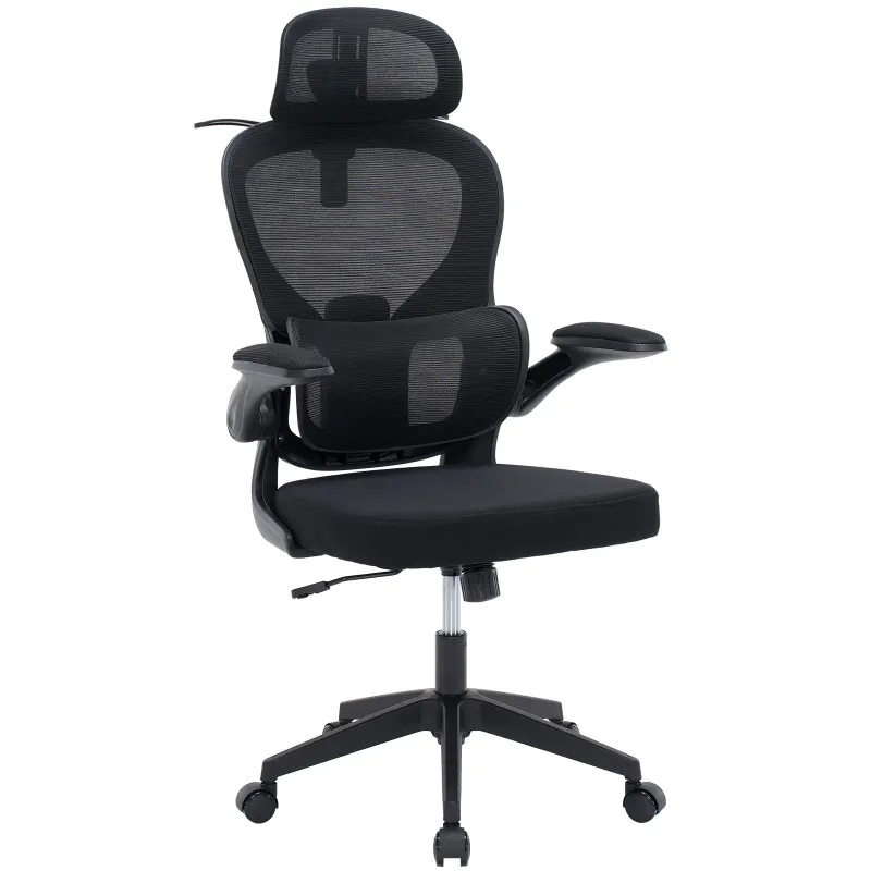 Ergonomic Mesh Office Chair with Adjustable Lumbar Support
Adjustable Headrest, Double Lumbar Support, Flip‑Up Armrests, Adjustable Height Rocking Desk Chair with Coat Hanger