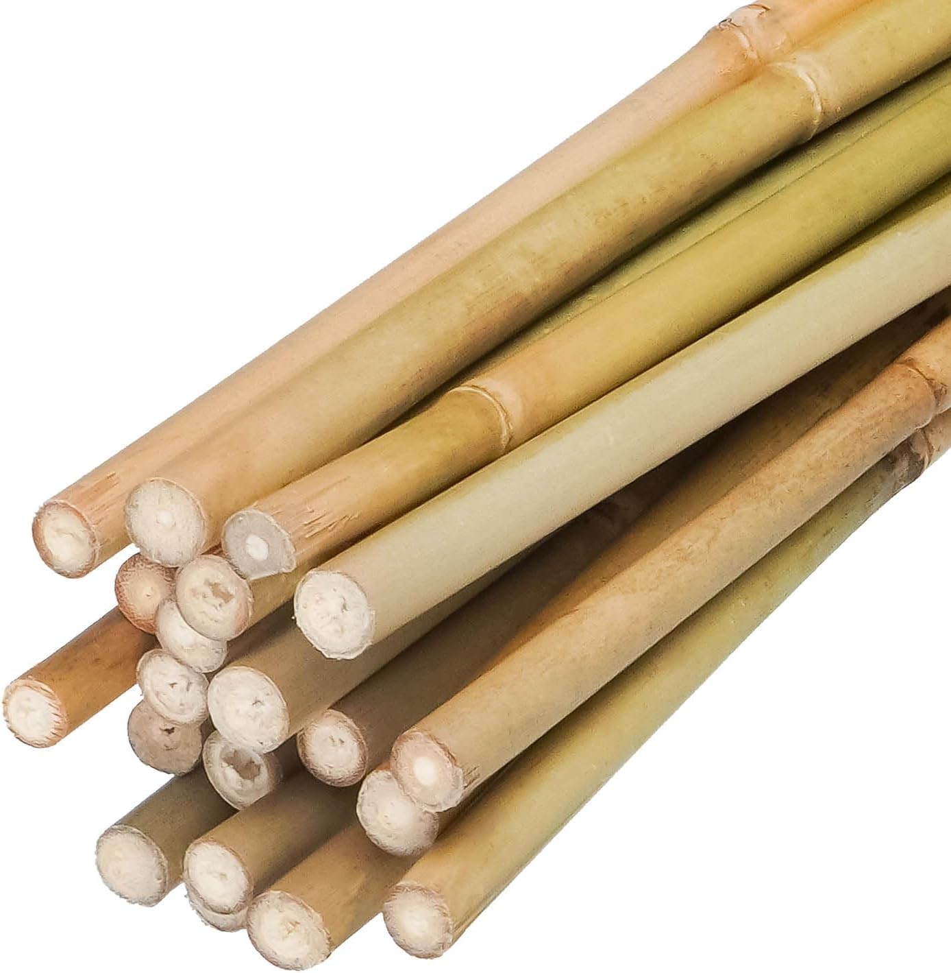2FT,Diameter 8mm - 10mm Natural Bamboo Plant Stake, Sturdy Bamboo Poles, Durable Plant Bamboo Stake, Garden Climbing Plant Bracket 25pcs.