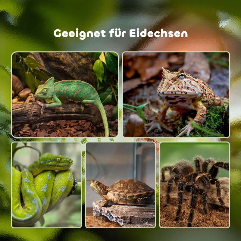 PawHut Glass Reptile Terrarium Insect Breeding Tank Vivarium Habitats with Thermometer for Lizards, Horned Frogs, Snakes, Spiders - Large 50 x 30 x 35cm