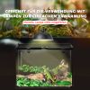 PawHut Glass Reptile Terrarium Insect Breeding Tank Vivarium Habitats with Thermometer for Lizards, Horned Frogs, Snakes, Spiders - Large 50 x 30 x 35cm